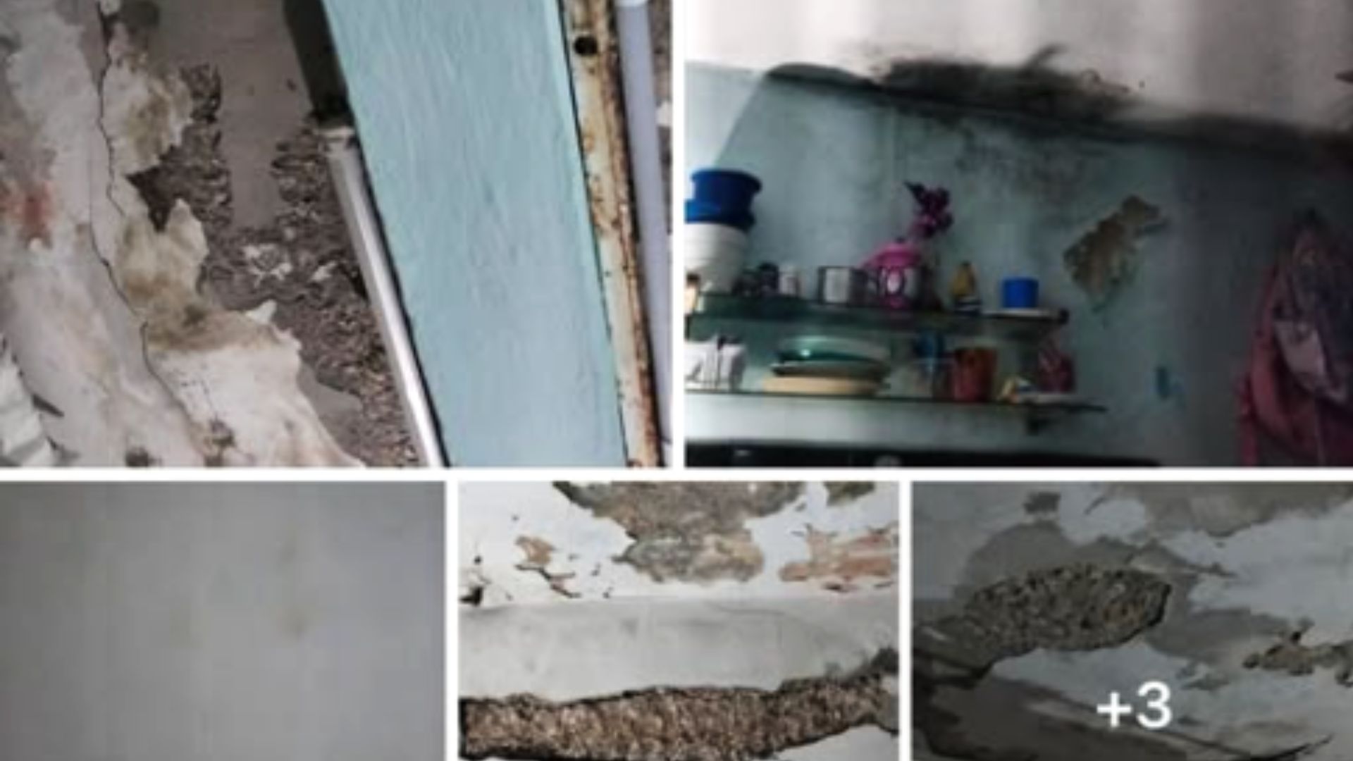 Madre cubana: "Vendo uno de mis riñones para comprarle una casita a mi hija"